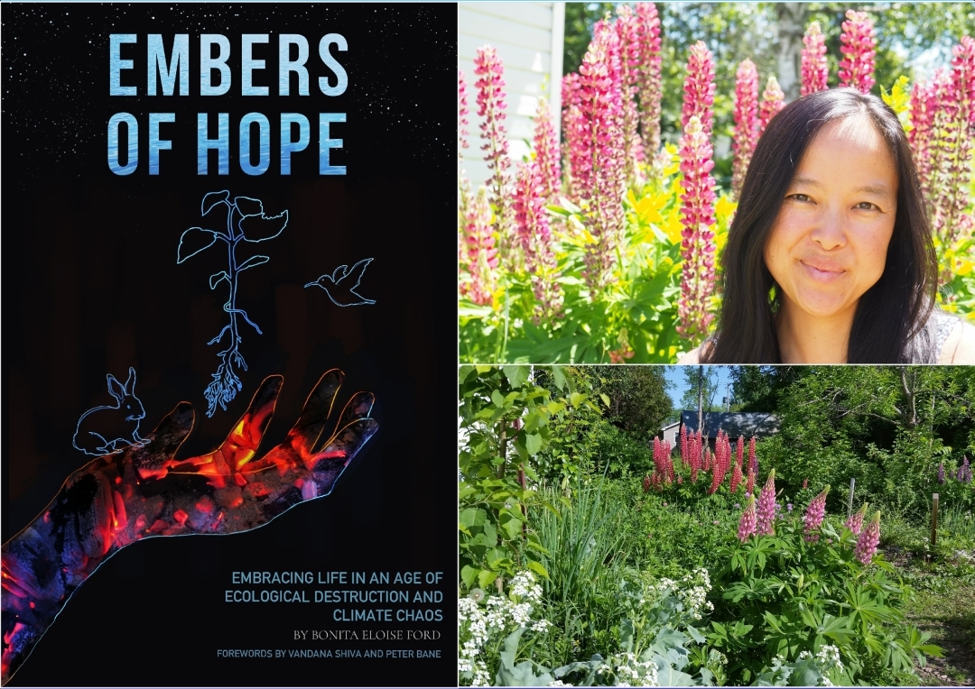 "Embers of Hope: Embracing Life in an Age of Ecological Destruction and Climate Chaos" online workshop