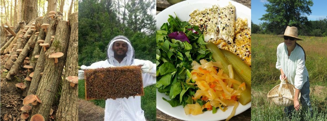 Ottawa permaculture tour, mushrooms, bees, herbs, wildcrafting, urban gardening
