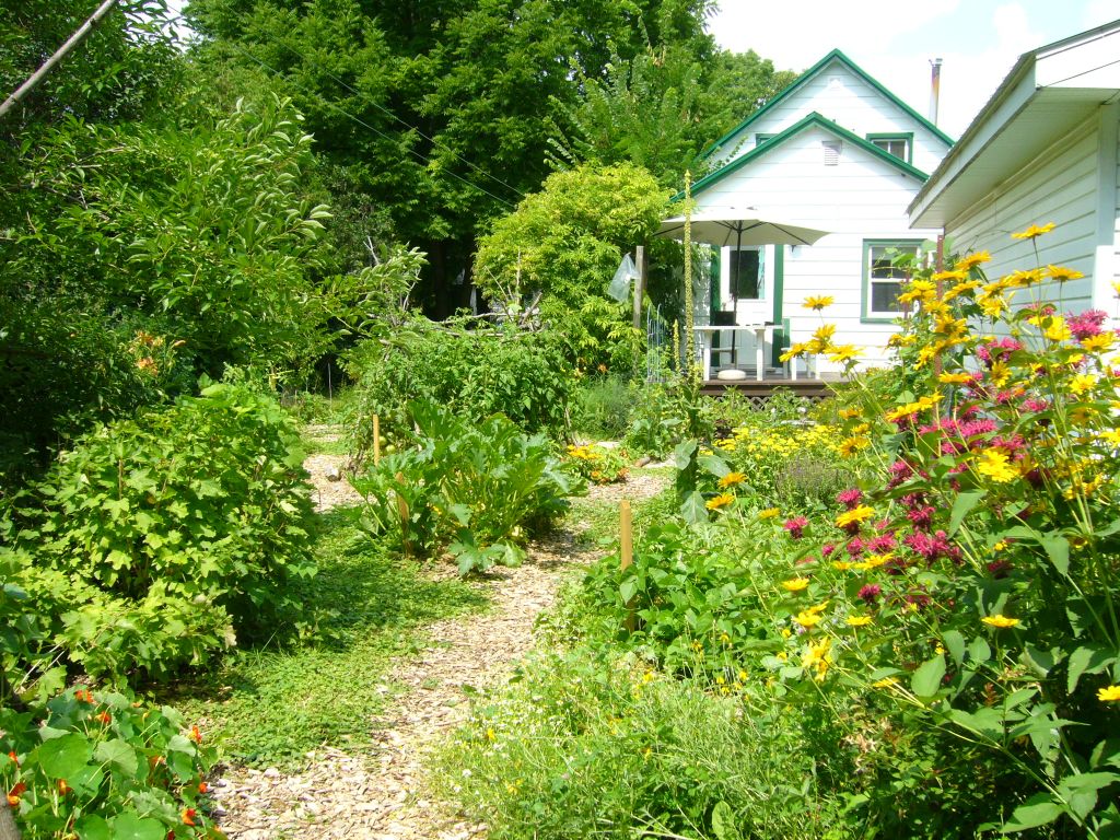 permaculture garden