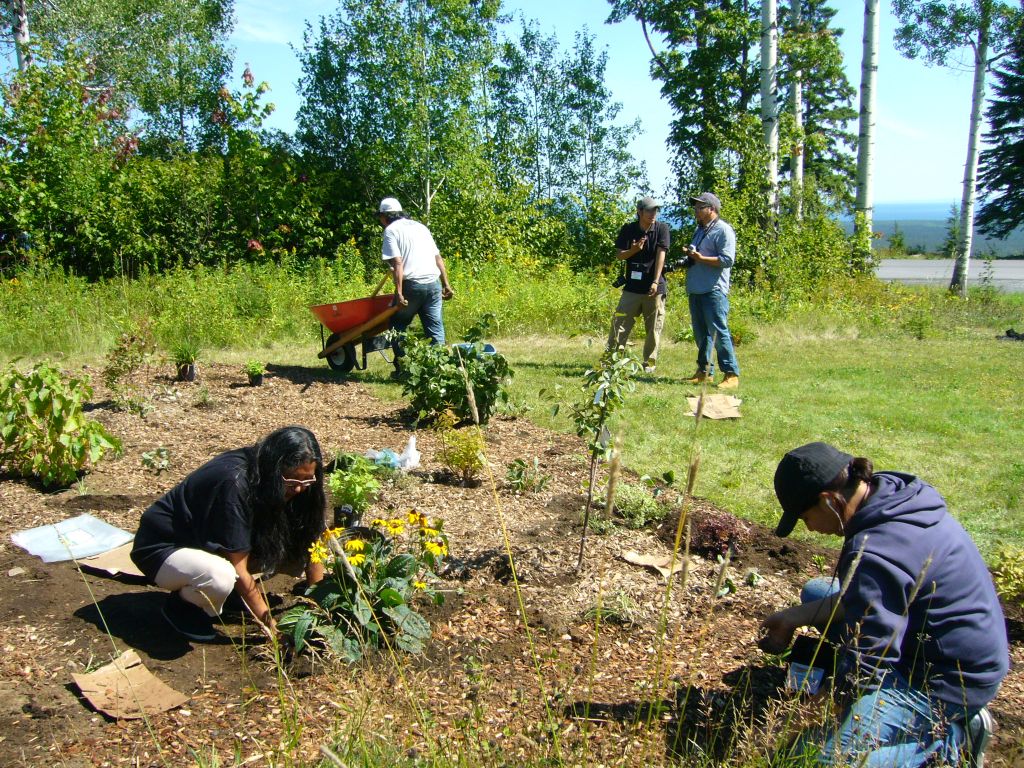 planting an edible forest garden