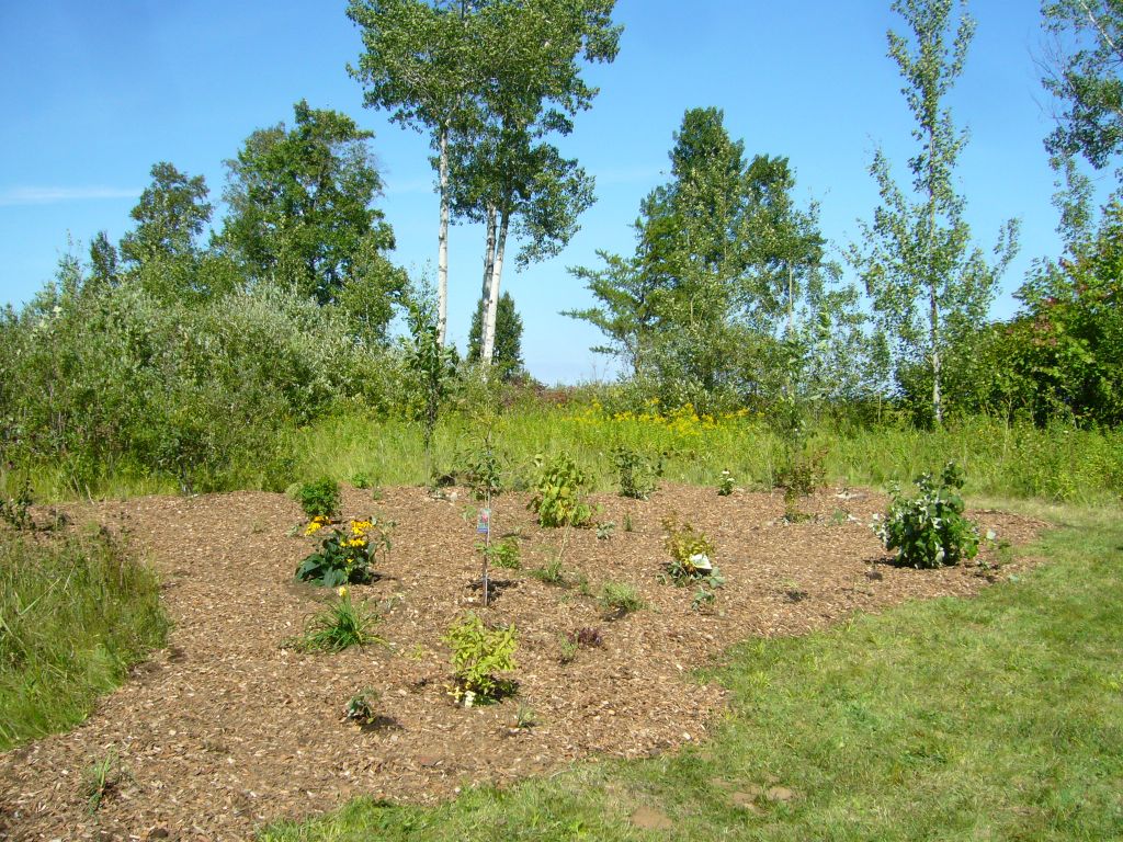 edible forest garden, food forest, polyculture, Nishnawbe Aski Nation, First Nations, cold climate