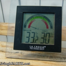 33.2C in the greenhouse, while there's snow outside