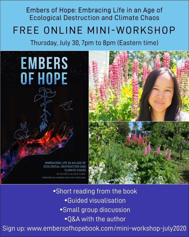 Ember of Hope: free online mini workshop