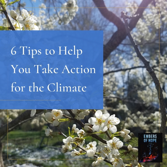 Tips to Help You Take Action for the Climate, title image