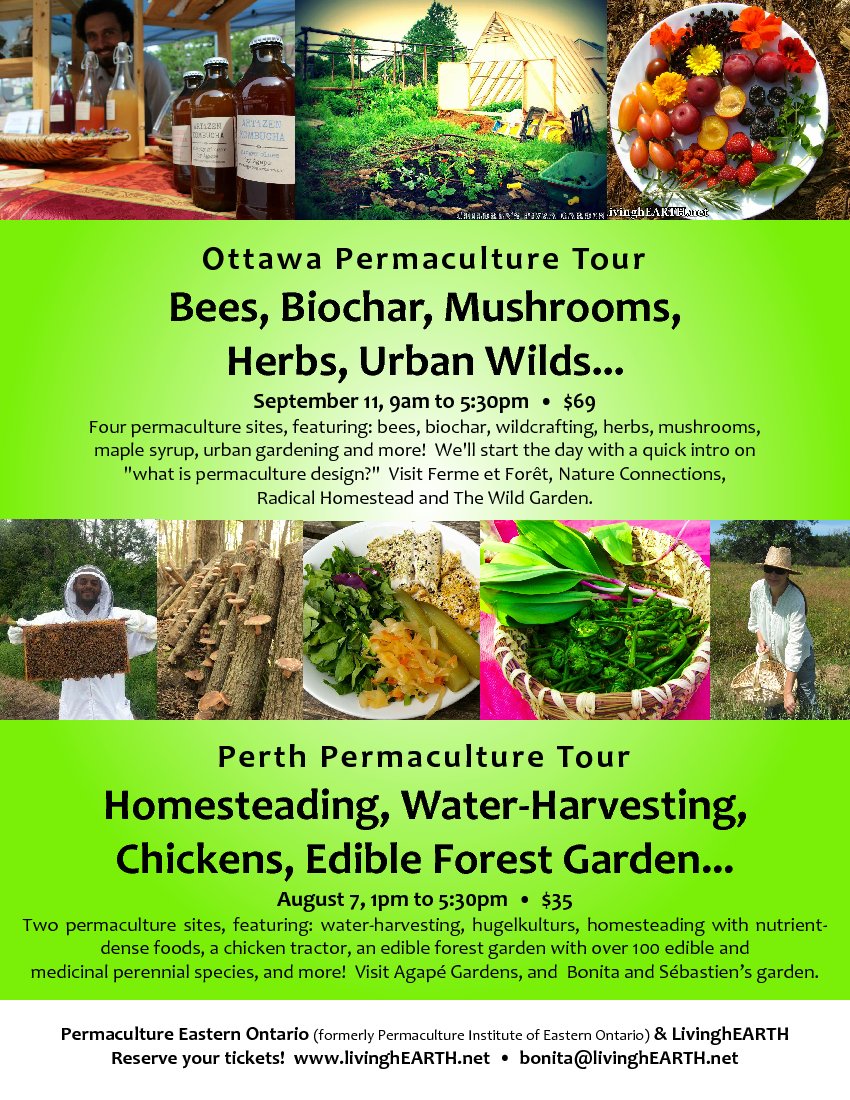 Ottawa Permaculture Tour: Bees, Biochar, Mushrooms, Herbs, Urban Wilds ...