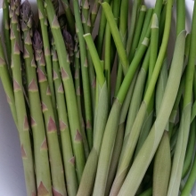 asparagus and Solomon's seal